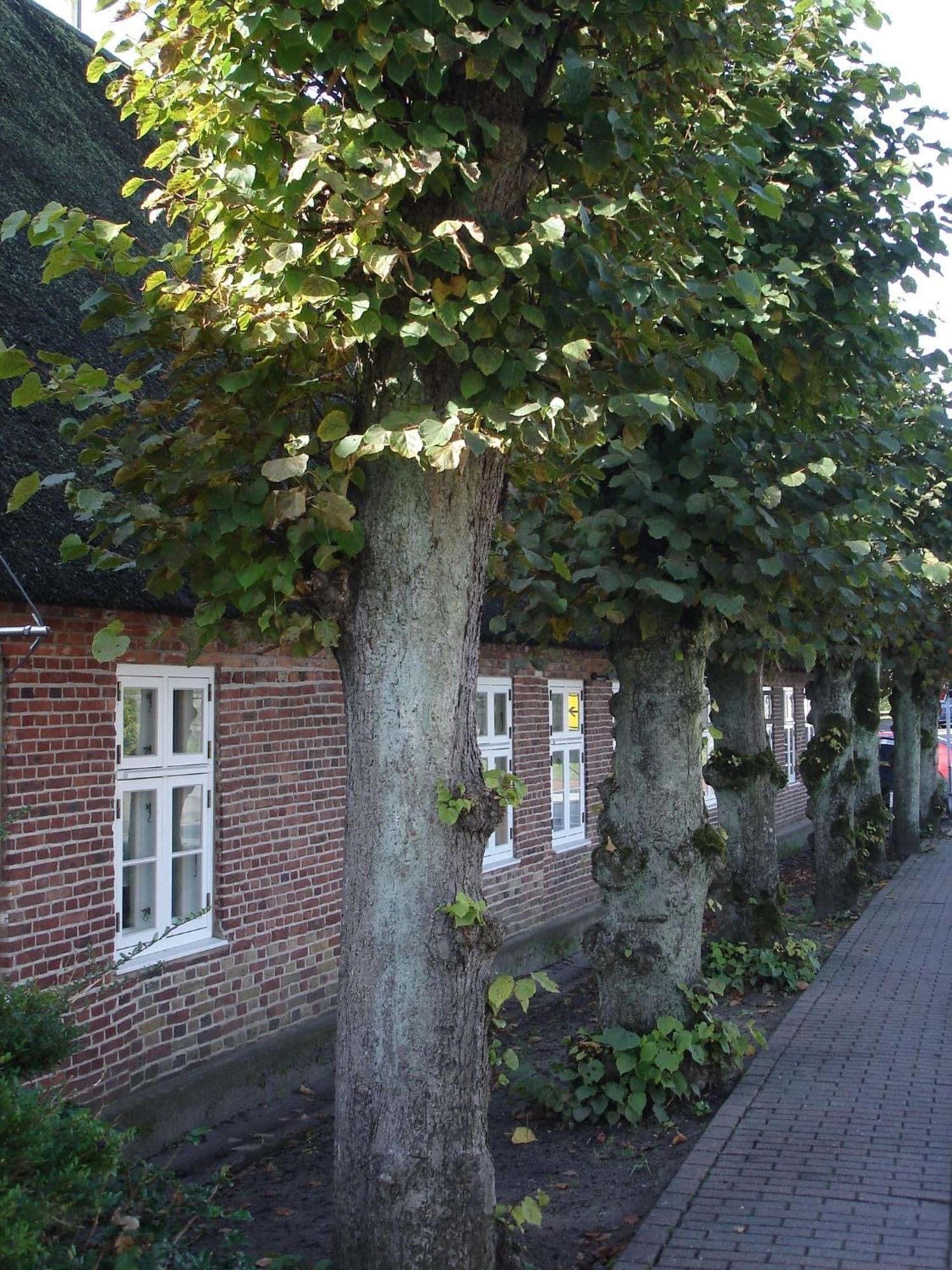 Tetens Gasthof Suederluegum Exterior photo